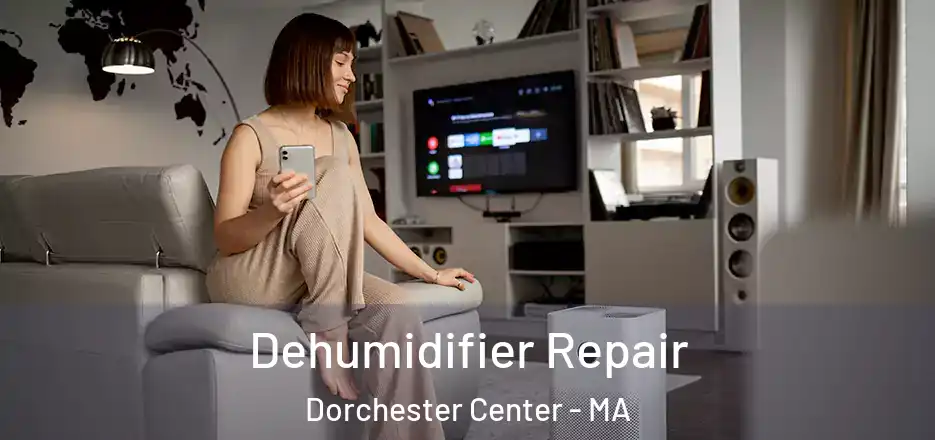 Dehumidifier Repair Dorchester Center - MA