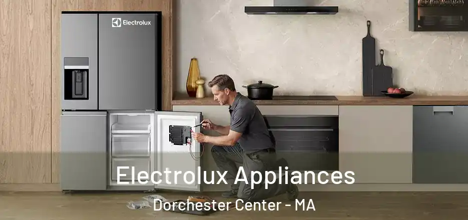  Electrolux Appliances Dorchester Center - MA