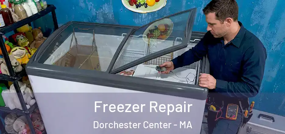 Freezer Repair Dorchester Center - MA