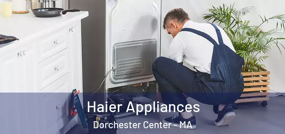  Haier Appliances Dorchester Center - MA