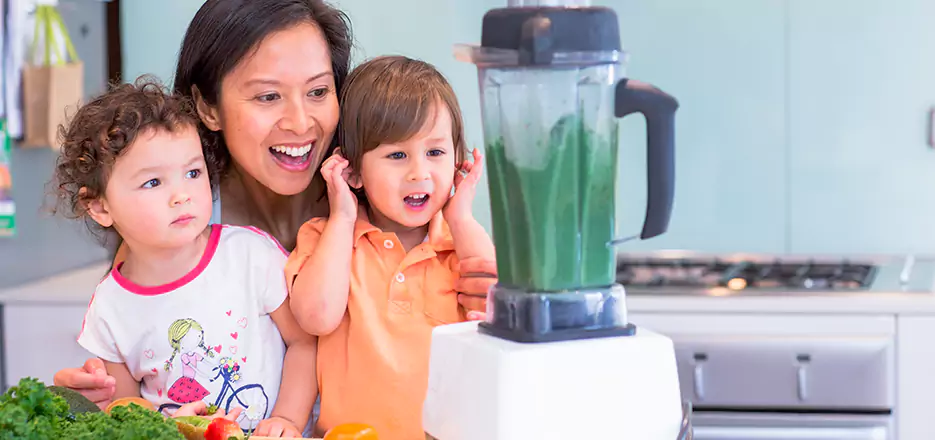 Juicer and Mixer Blender Repair in Dorchester Center 