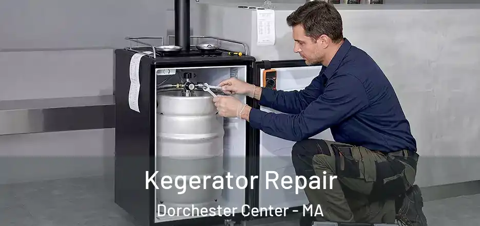 Kegerator Repair Dorchester Center - MA