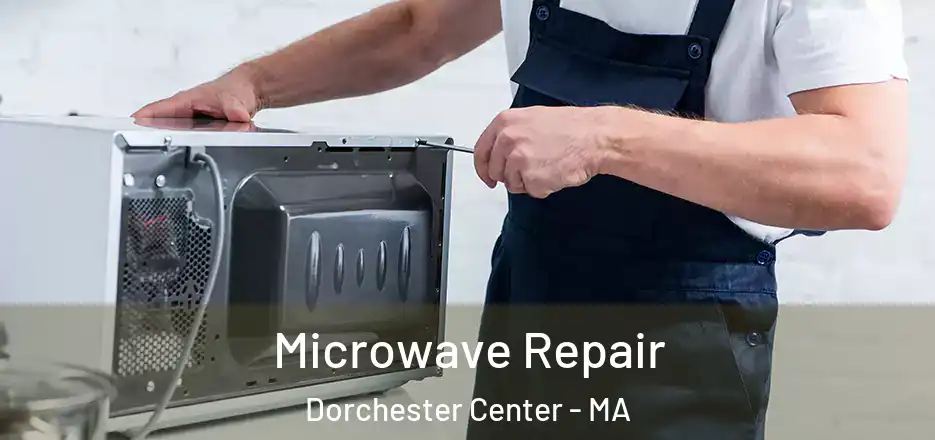  Microwave Repair Dorchester Center - MA